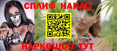 мдпв Гагарин