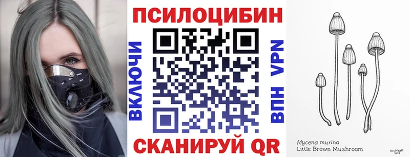 Галлюциногенные грибы GOLDEN TEACHER  Каспийск 