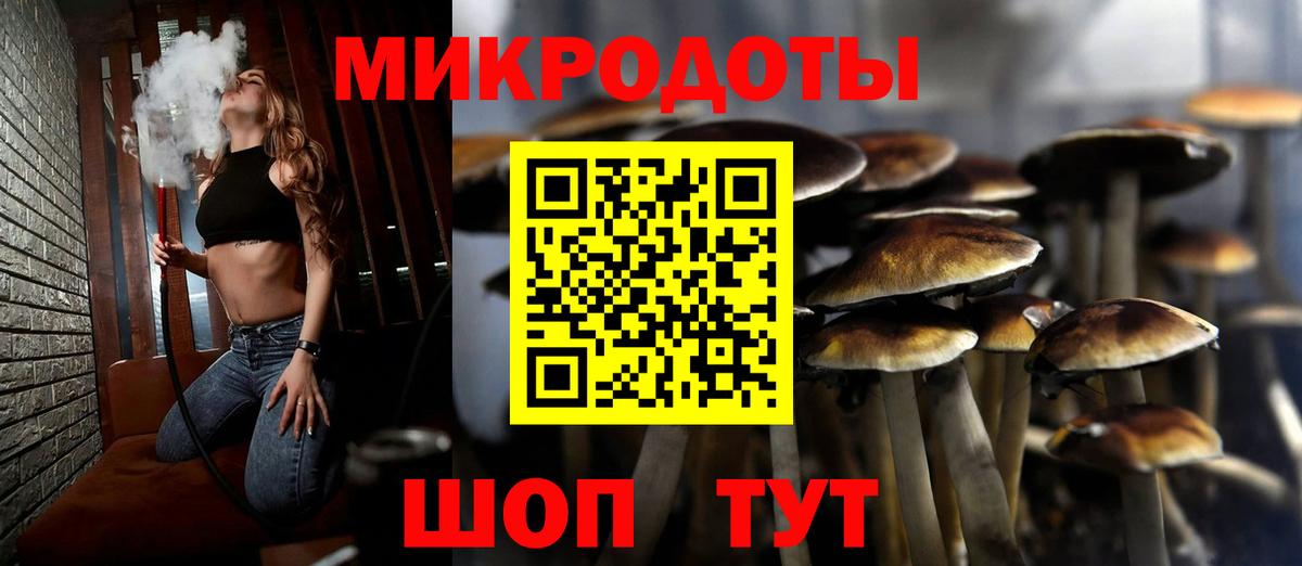 Каспийск  Галлюциногенные грибы Magic Shrooms  Вход с VPN 